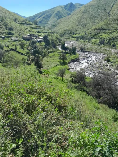 Saneamiento y Registros de Predios